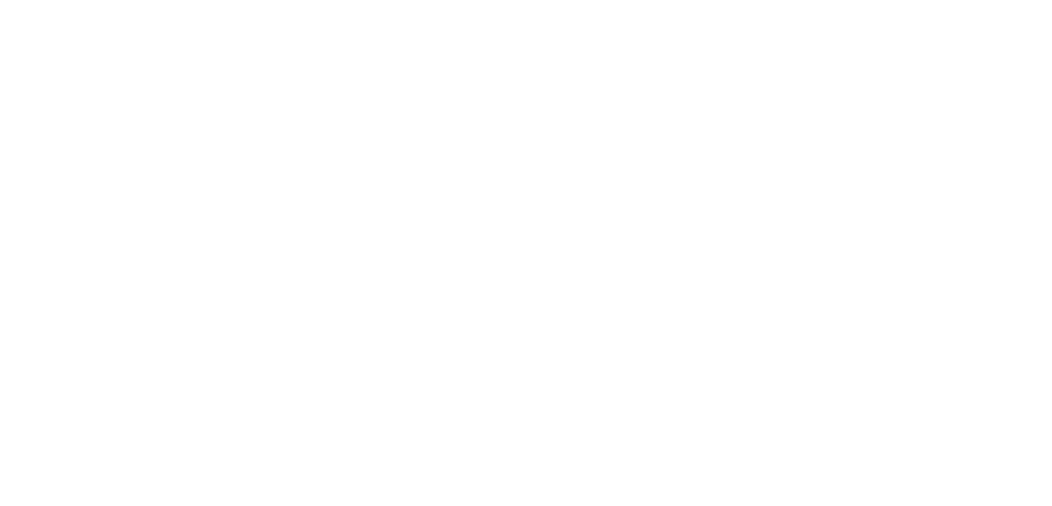 Logo APT Prothesen in weiß